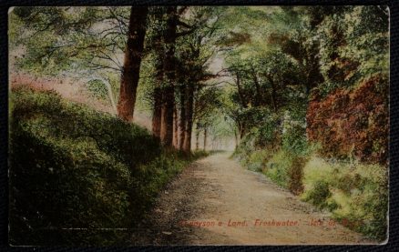 Freshwater Tennyson's Lane IOW 1907 Postcard