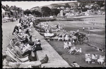 Minehead Promenade Local Publisher Postcard