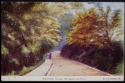 Bexhill Chantry Lane Viuntage 1904 Postcard