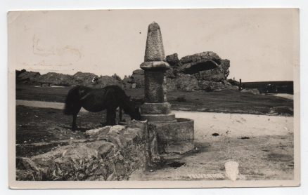 Yelverton Real Photo Postcard