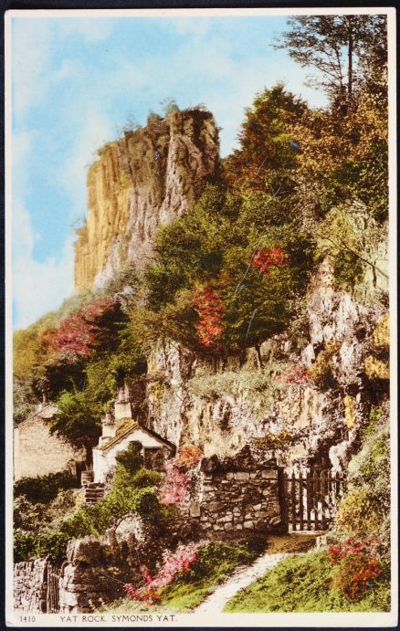 Symonds Yat Rock Postcard