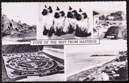 Hastings Pier Cats Castle Postcard