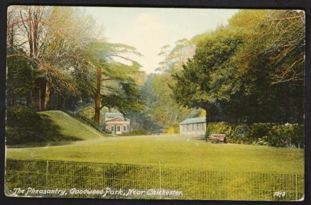 Goodwood Chichester Pheasantry 1907 Postcard