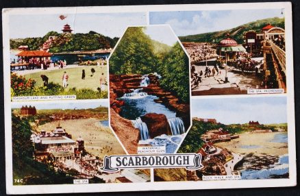 Scarborough Peasholme Glen 1952 Postcard