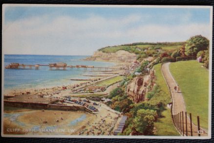 Shanklin Cliff Path Local Publisher Postcard