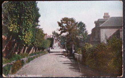 Wadhurst The Walks Local Publisher Postcard