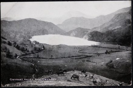 Gwynant Valley 1906 Postcard