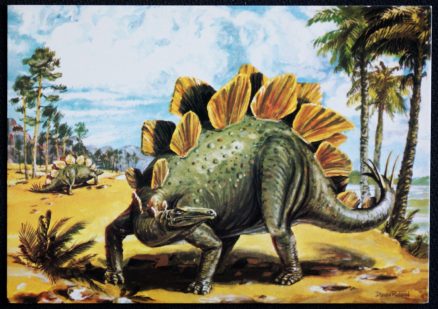 Stegosaurus Postcard