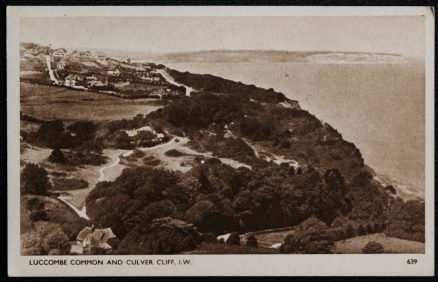 Luccombe Common Culver Cliff Postcard