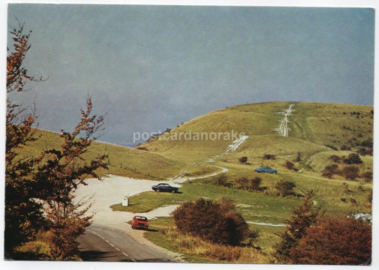 Ivinghoe Beacon Ashbridge Estate Postcard.