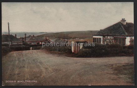 Trevone Dobbin Road Vintage Postcard