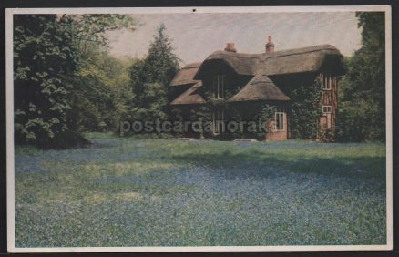 The Queen's Cottage Vintage Postcard