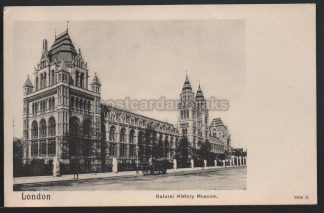 Natural History Museum c.1918 Postcard