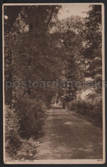 Morden Green Lane Vintage Postcard