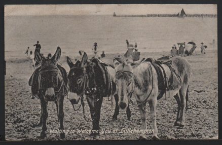 Littlehampton Donkeys Seafront 1916 Postcard