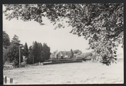 Graffham Village Sussex 1975 Postcard