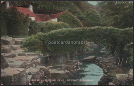 Jesmond Dene Newcastle-On-Tyne 1909 Postcard