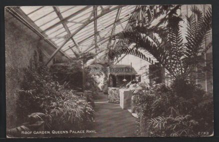 Rhyl Queen's Palace 1907 Postcard