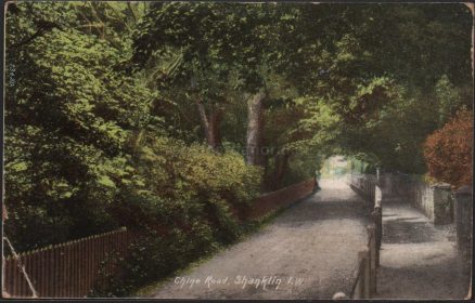 Chine Road Shanklin I.W. 1908 Postcard