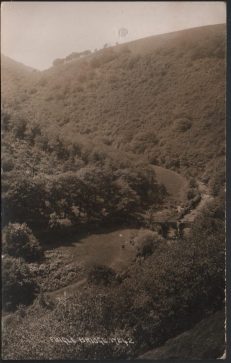 Fingle Bridge Postcard Local Publisher 1935