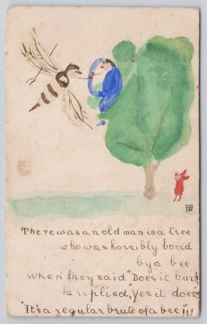 Postcard There Was An Old Man In A Tree Hand Coloured