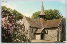 Shanklin Publisher Nigh IOW Postcard