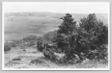 Crowborough Publisher Judges 1066 Reference Postcard