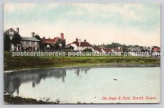 Newick Green Sussex 1908 Antique Postcard