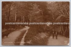 Hollingbury Park Brighton RPPC