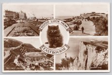 Eastbourne Lucky Black Cat Series