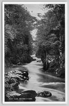 Bettws-Y-Coed Postcard Fairy Glen