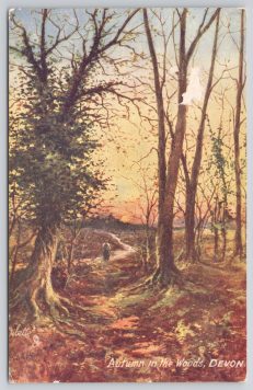 Devon In The Woods Raphael Tuck Postcard