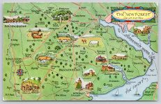 Map Lymington Brockenhurst Fordingbridge Postcard