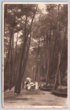 Bournemouth Pine Walk 1926 Postcard