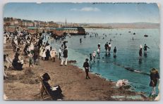 Dorset Shoreline 1918 Postcard