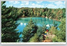 Wareham Blue Pool Dorset Postcard