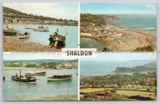 Shaldon  Teignmouth 1967 Postcard