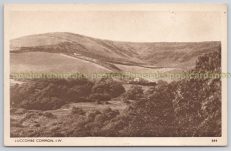 Luccombe Common Isle Of Wight Postcard